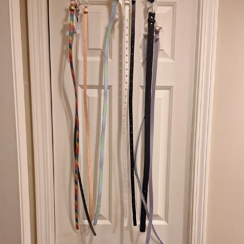 Colorful Belt Set